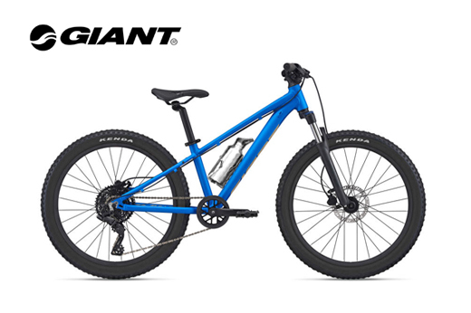 24-natty-bike-giant-stp.jpg